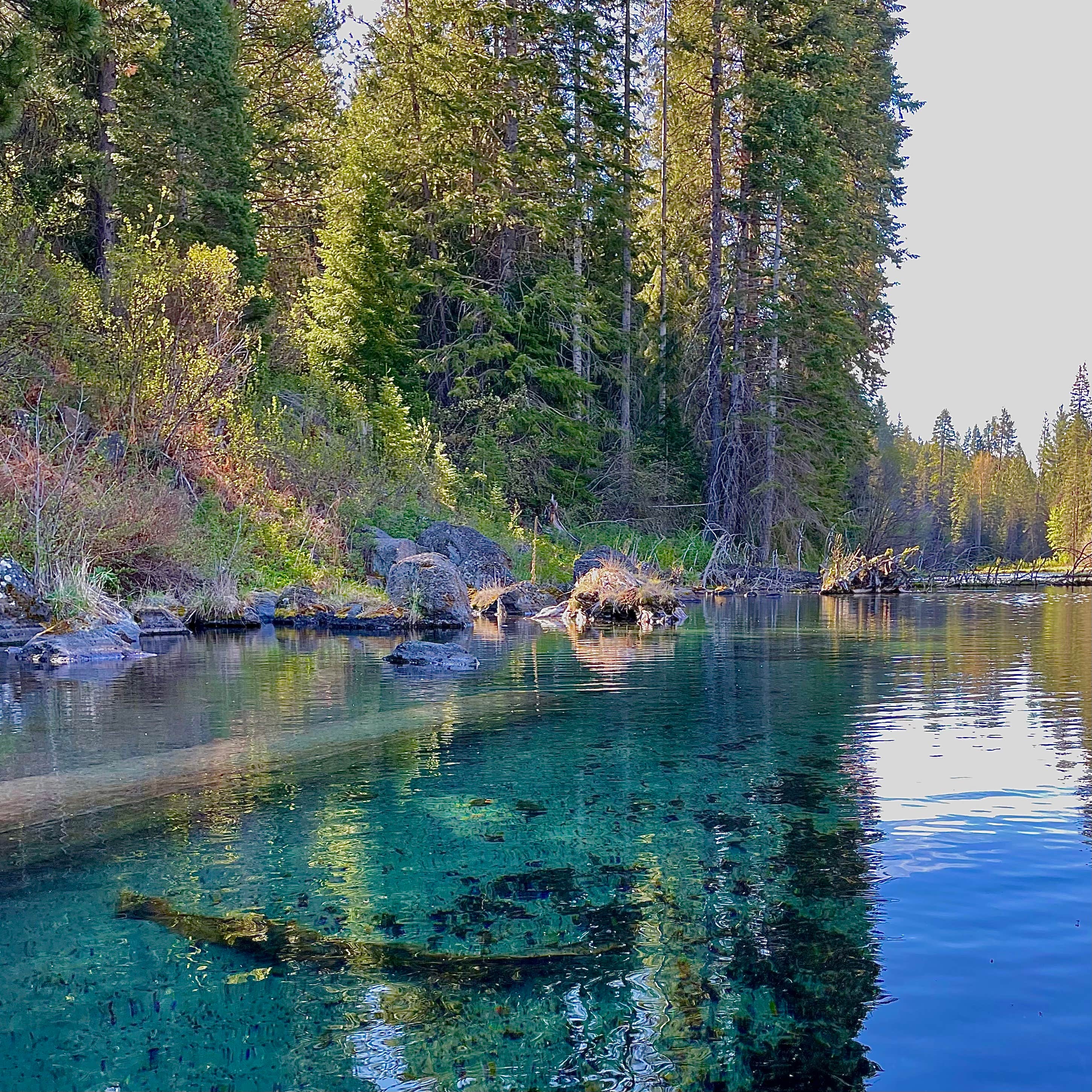 Callie B.'s photo of a dispersed camping area at Jackson F. Kimball State Recreation Site near Klamath Falls, OR