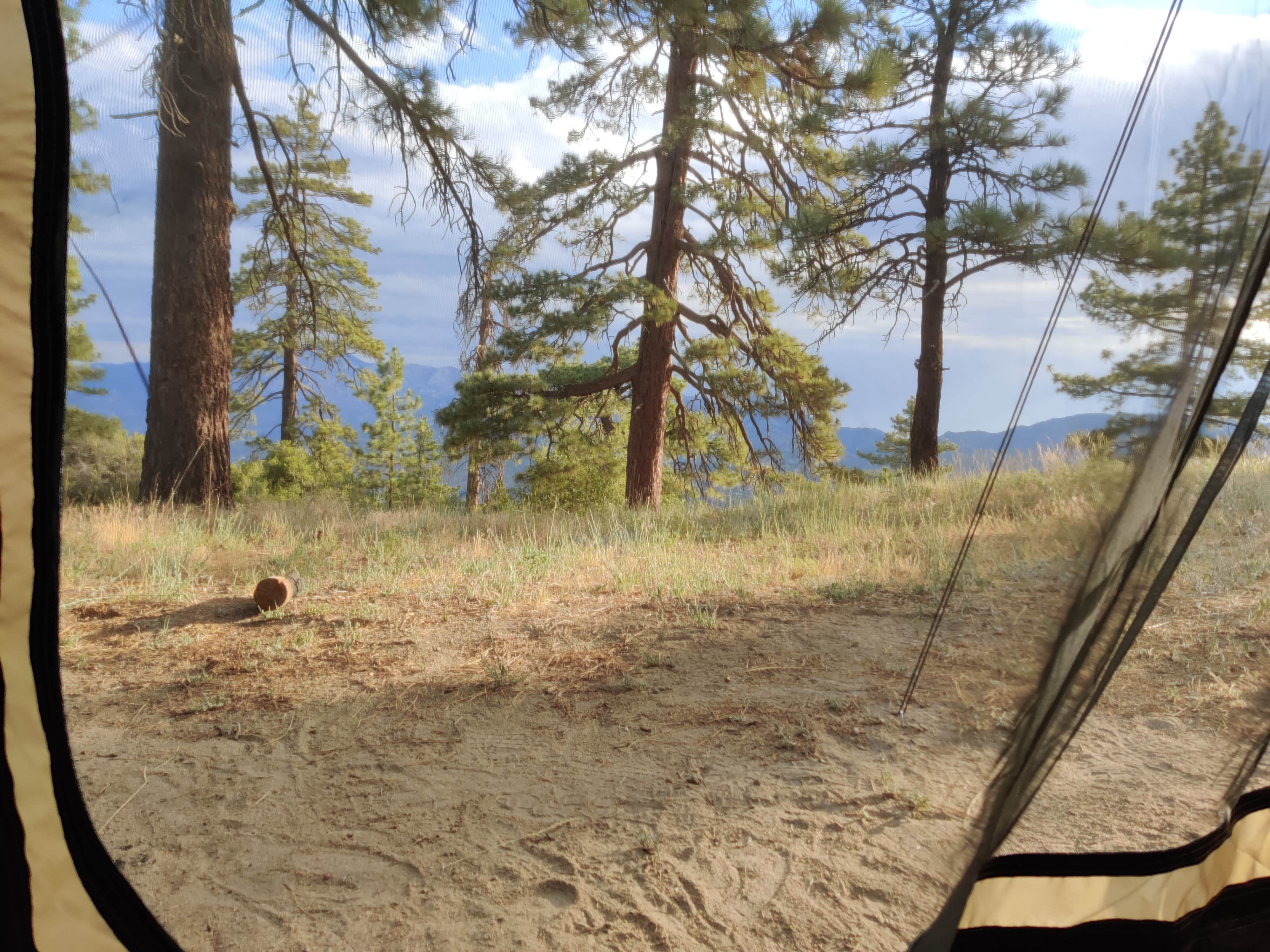 Best dispersed camping near Big Bear Lake, California The Dyrt