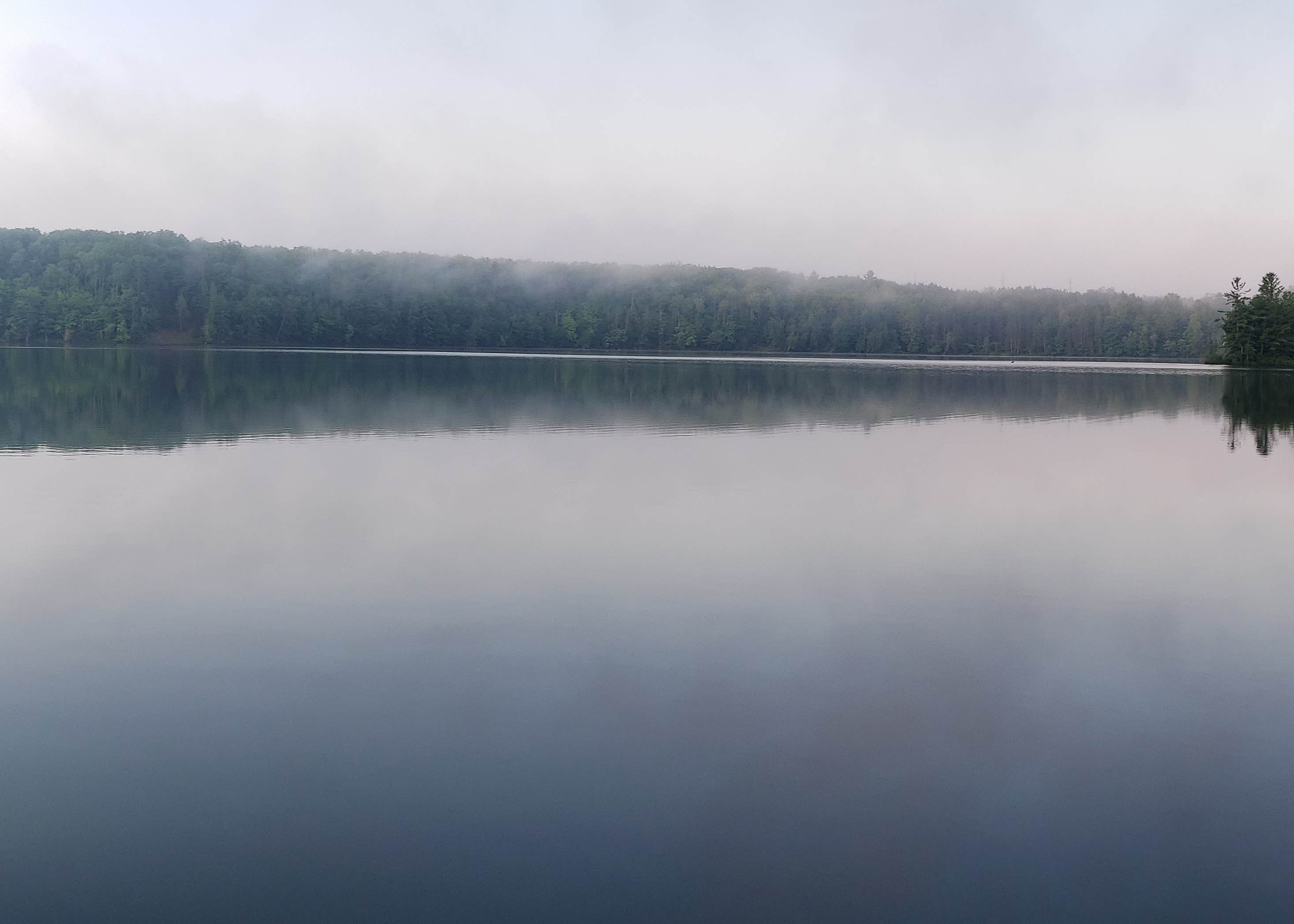 Tippy Dam State Recreation Area Camping The Dyrt