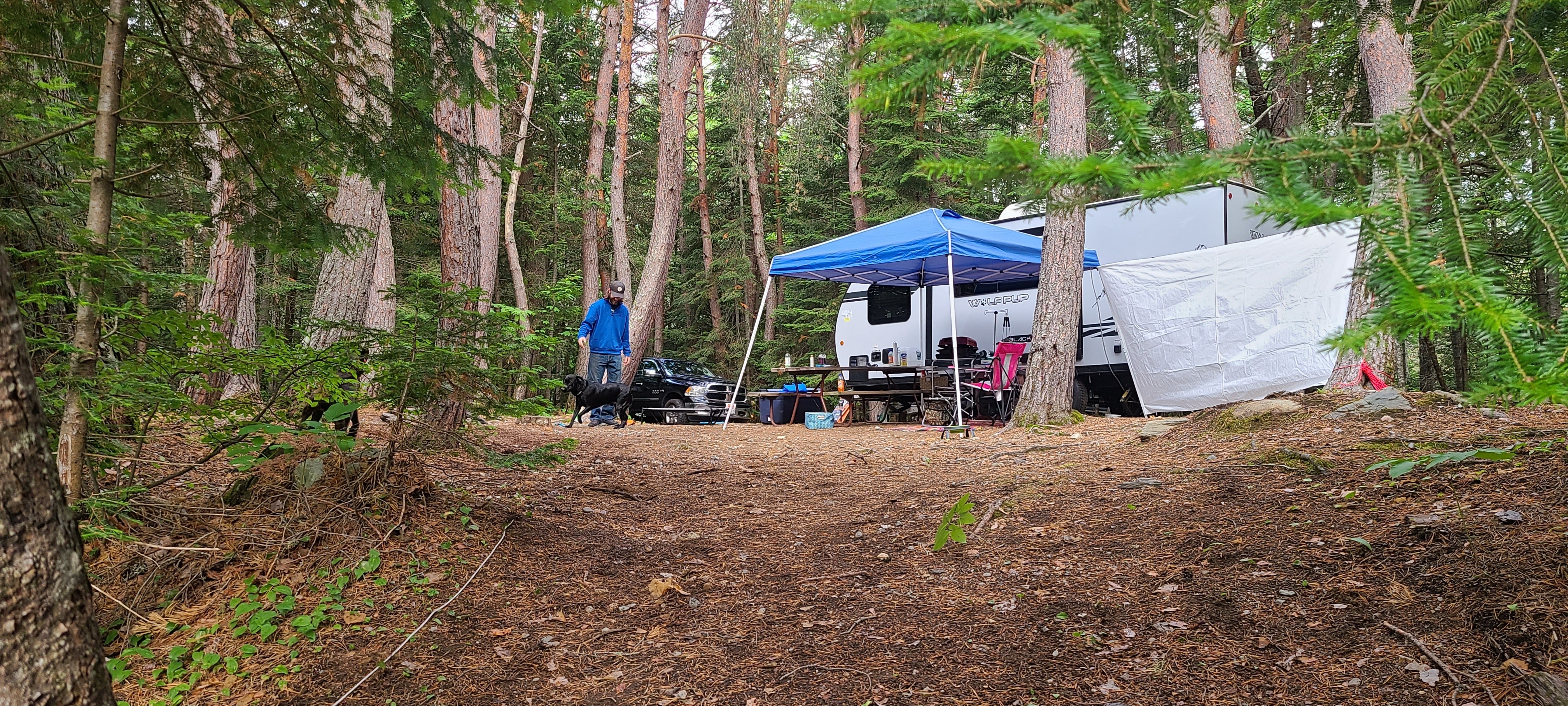 Camper submitted image from Cupsuptic Lake Park & Campground - 4