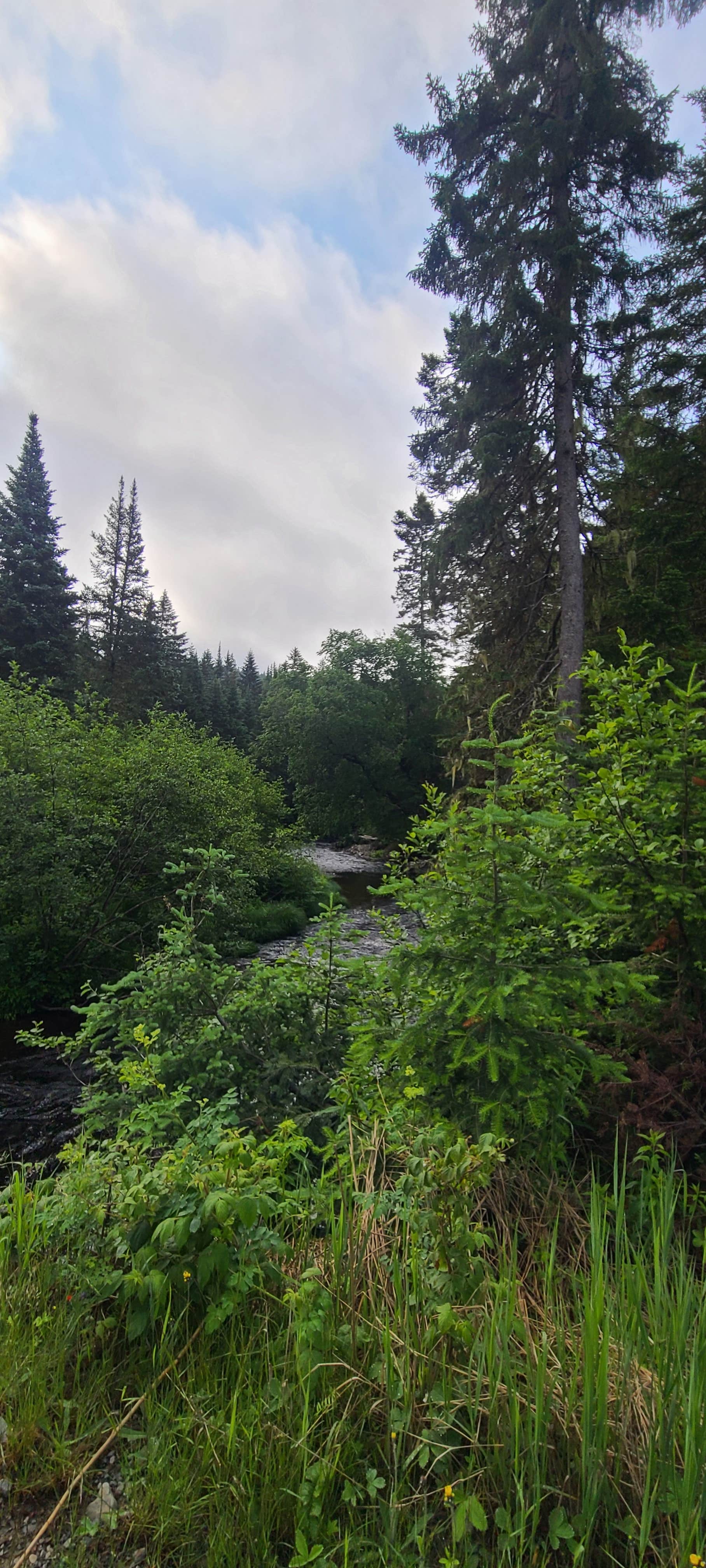 Camper-submitted photo at Cupsuptic Lake Park & Campground near Rangeley, ME
