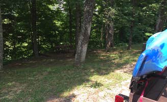 Shelly S.'s photo at Peter Cave near Rough River Lake