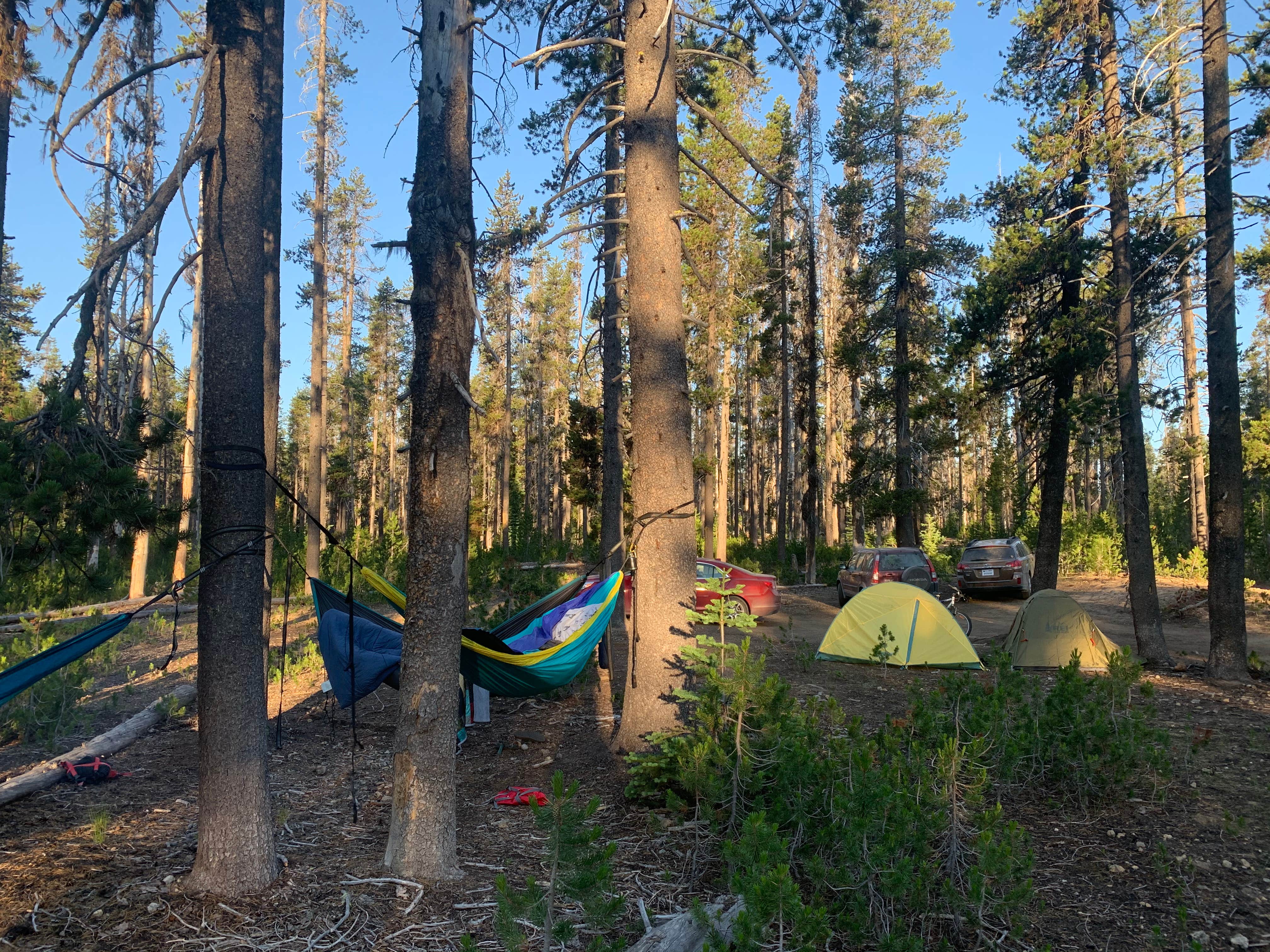Camper submitted image from Mount Thielsen Wilderness - 4