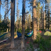 Review photo of Mount Thielsen Wilderness by Kristen W., July 6, 2021