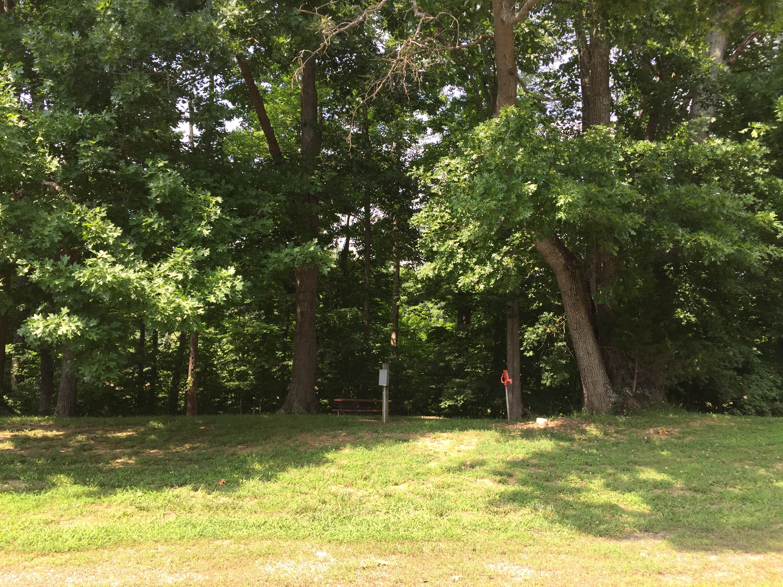 Camper-submitted photo at Peter Cave near Falls of Rough, KY