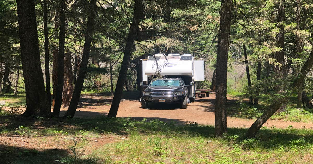 Grizzly Camping The Dyrt