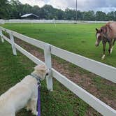 Review photo of Red Gate Farms - RV Resort by Rino S., July 6, 2021