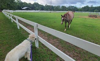 Rino S.'s photo of camping with pets at Red Gate Farms - RV Resort in Georgia