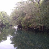 Review photo of Manatee Springs State Park Campground by John Z., July 6, 2021