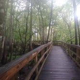 Review photo of Manatee Springs State Park Campground by John Z., July 6, 2021