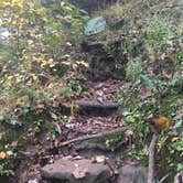 Review photo of Eugene T. Mahoney State Park Campground by Joe R., June 13, 2018