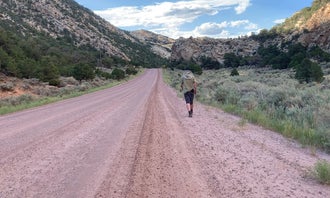 Camping near Gates of Lodore Campground — Dinosaur National Monument: Irish Canyon Campground, Dinosaur National Monument, Colorado