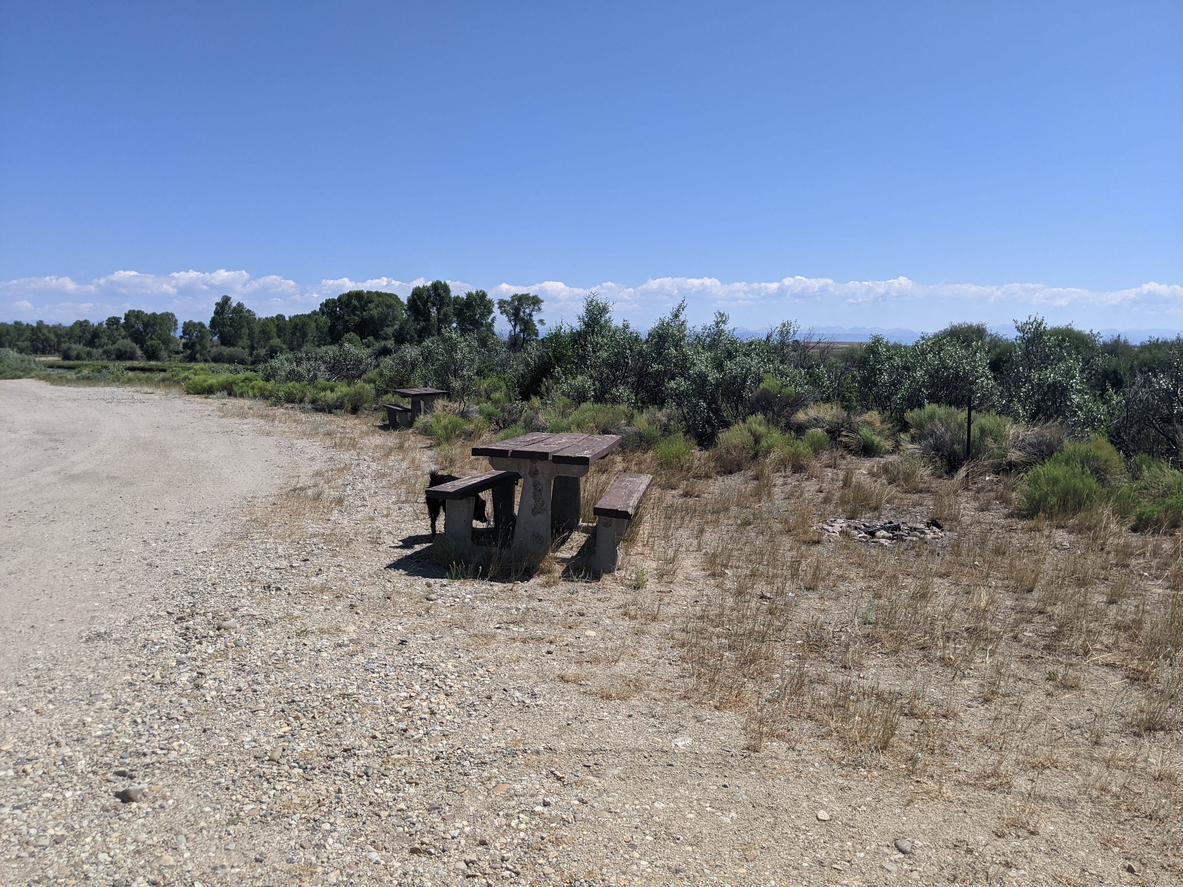 Camper submitted image from New Fork River BLM Campground - 5