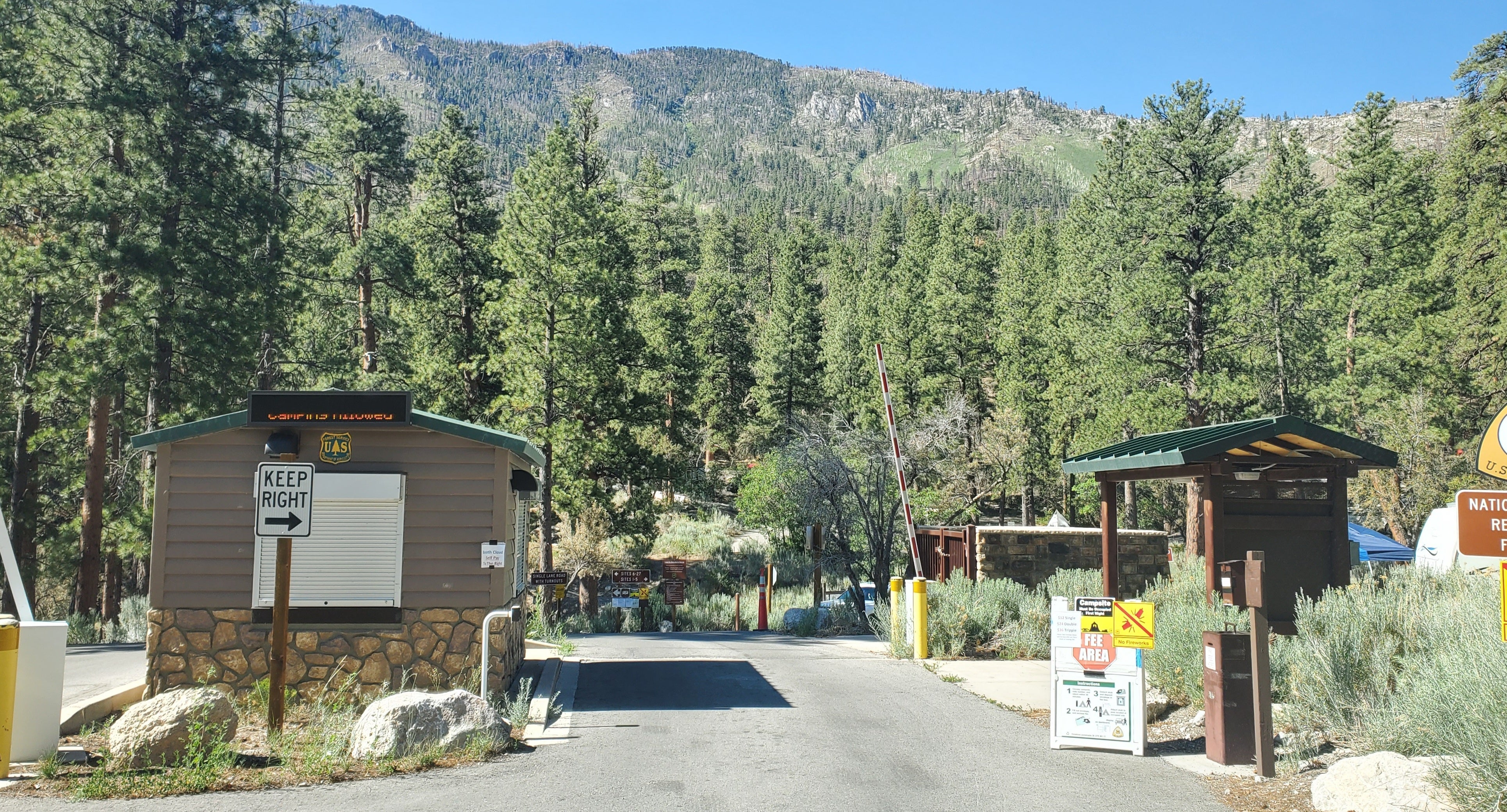 Camper submitted image from Kyle Canyon Campground - 5