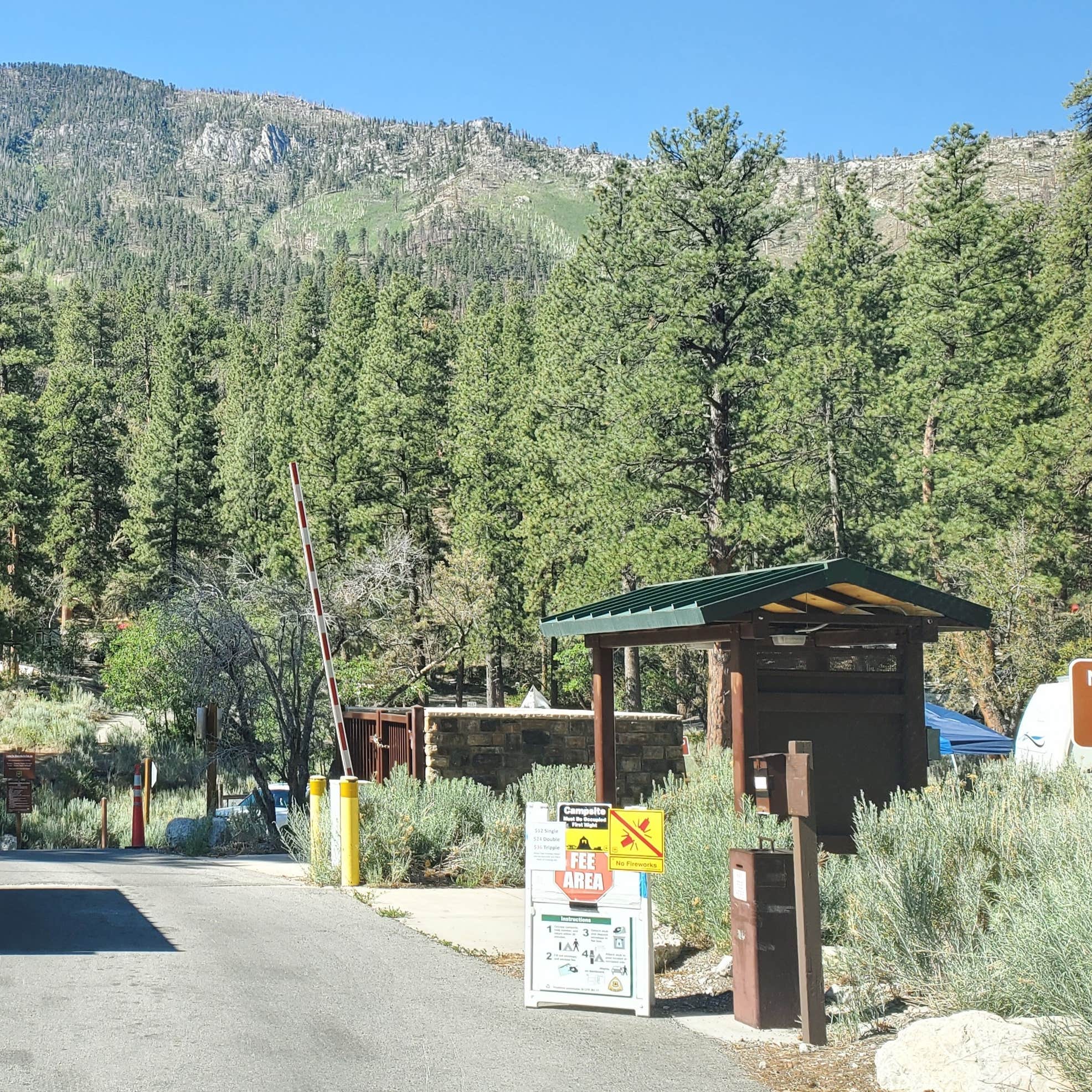 Kyle Canyon Campground Camping The Dyrt