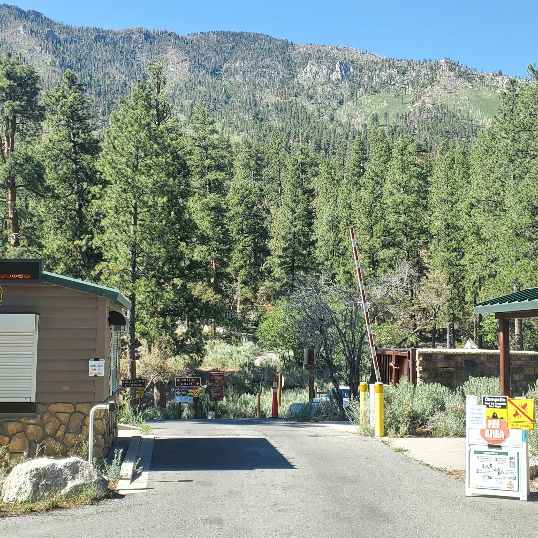 Escape To The Pines: Your Guide To Nevada’s Kyle Canyon Campground