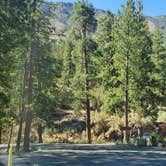 Review photo of Kyle Canyon Campground by T K., July 4, 2021