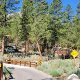 Review photo of Kyle Canyon Campground by T K., July 4, 2021