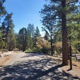 Review photo of Kyle Canyon Campground by T K., July 4, 2021