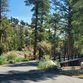 Review photo of Kyle Canyon Campground by T K., July 4, 2021