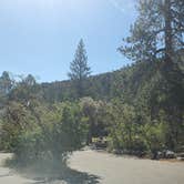 Review photo of Kyle Canyon Campground by T K., July 4, 2021