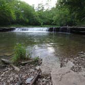 Review photo of Hueston Woods State Park Campground by Craig C., July 6, 2021