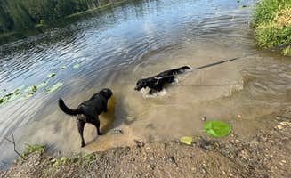 Corey O.'s photo of camping with pets at Lake Leland Campground in Washington