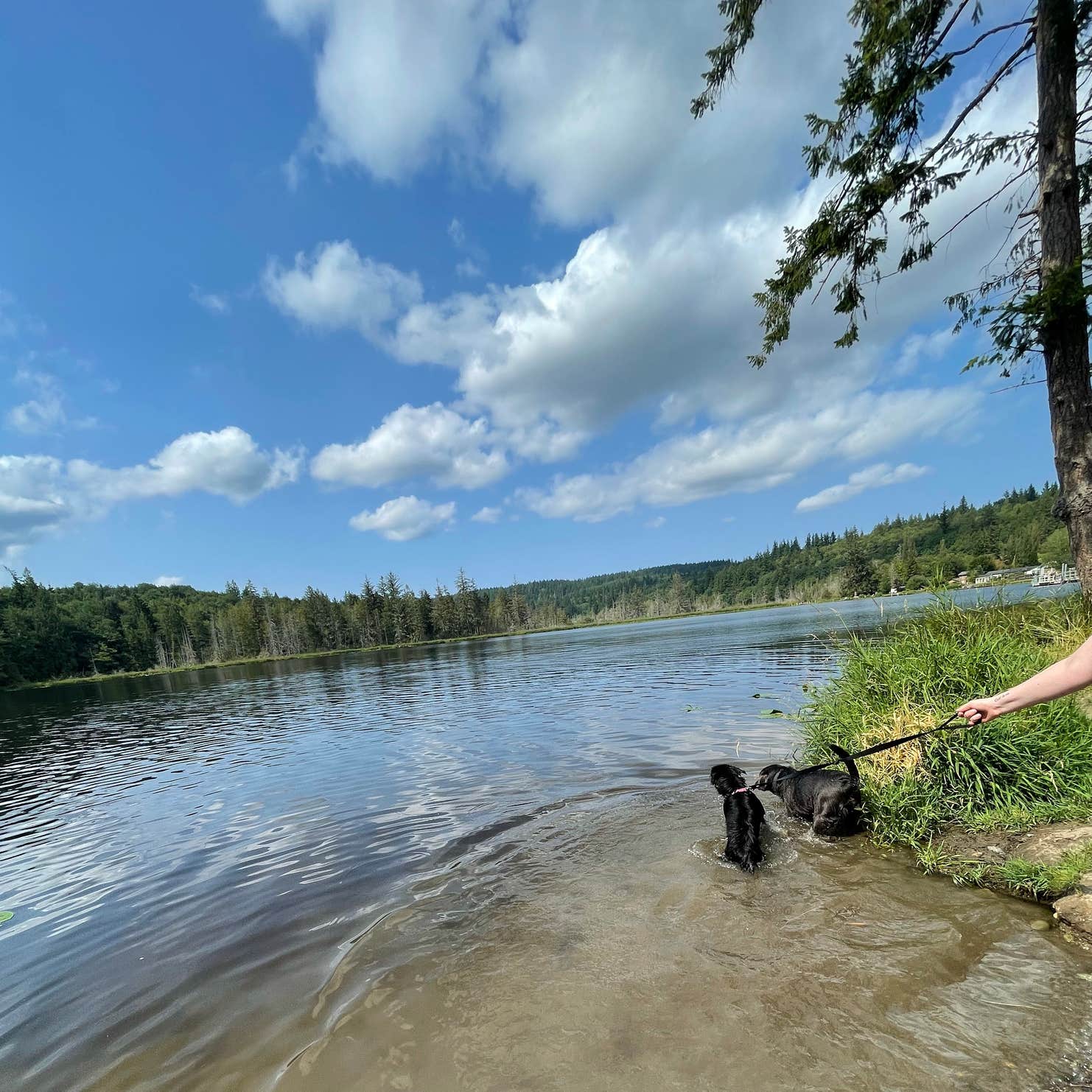 Lake Leland Campground | Quilcene, WA