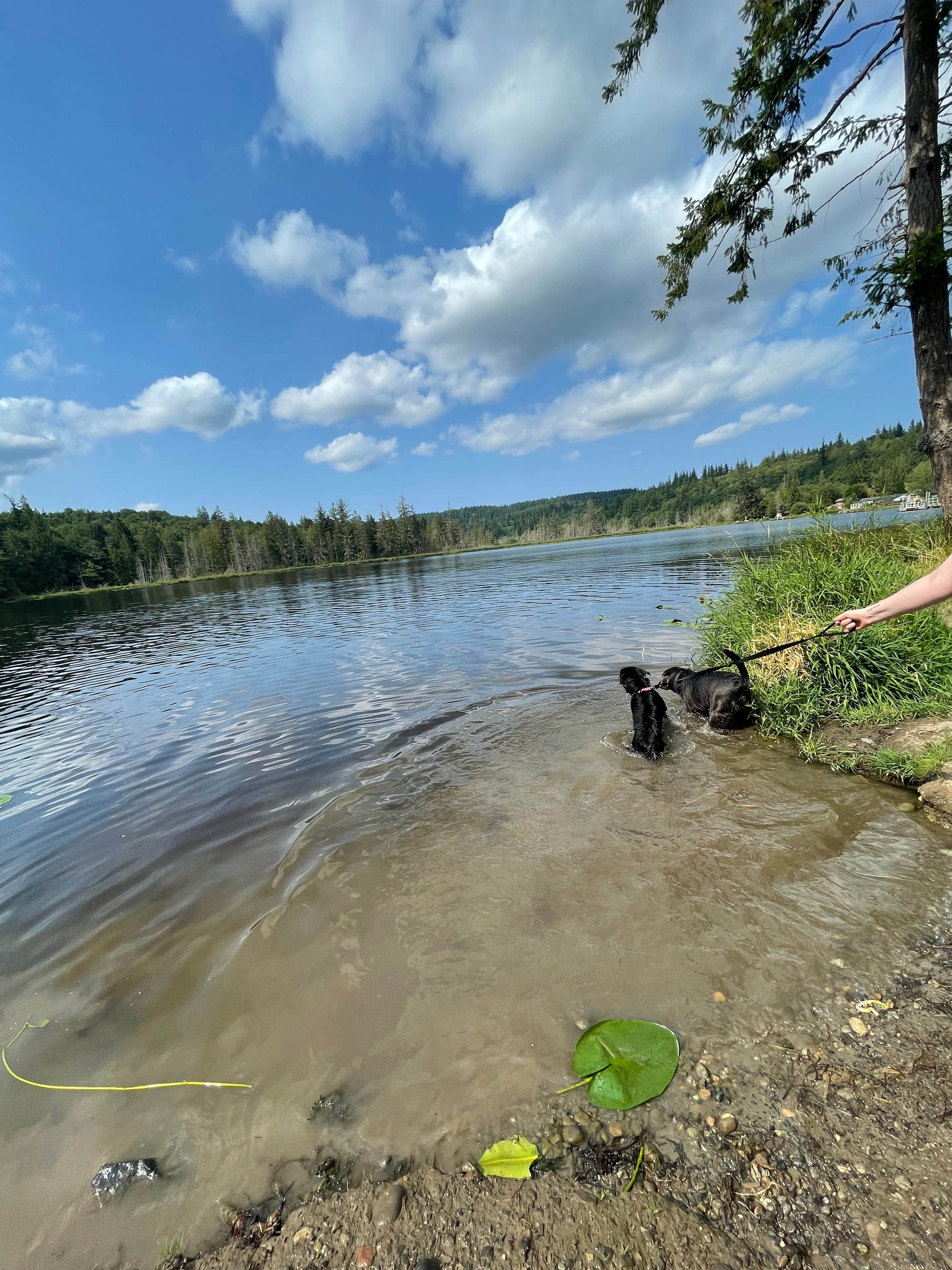 Camper submitted image from Lake Leland Campground - 5