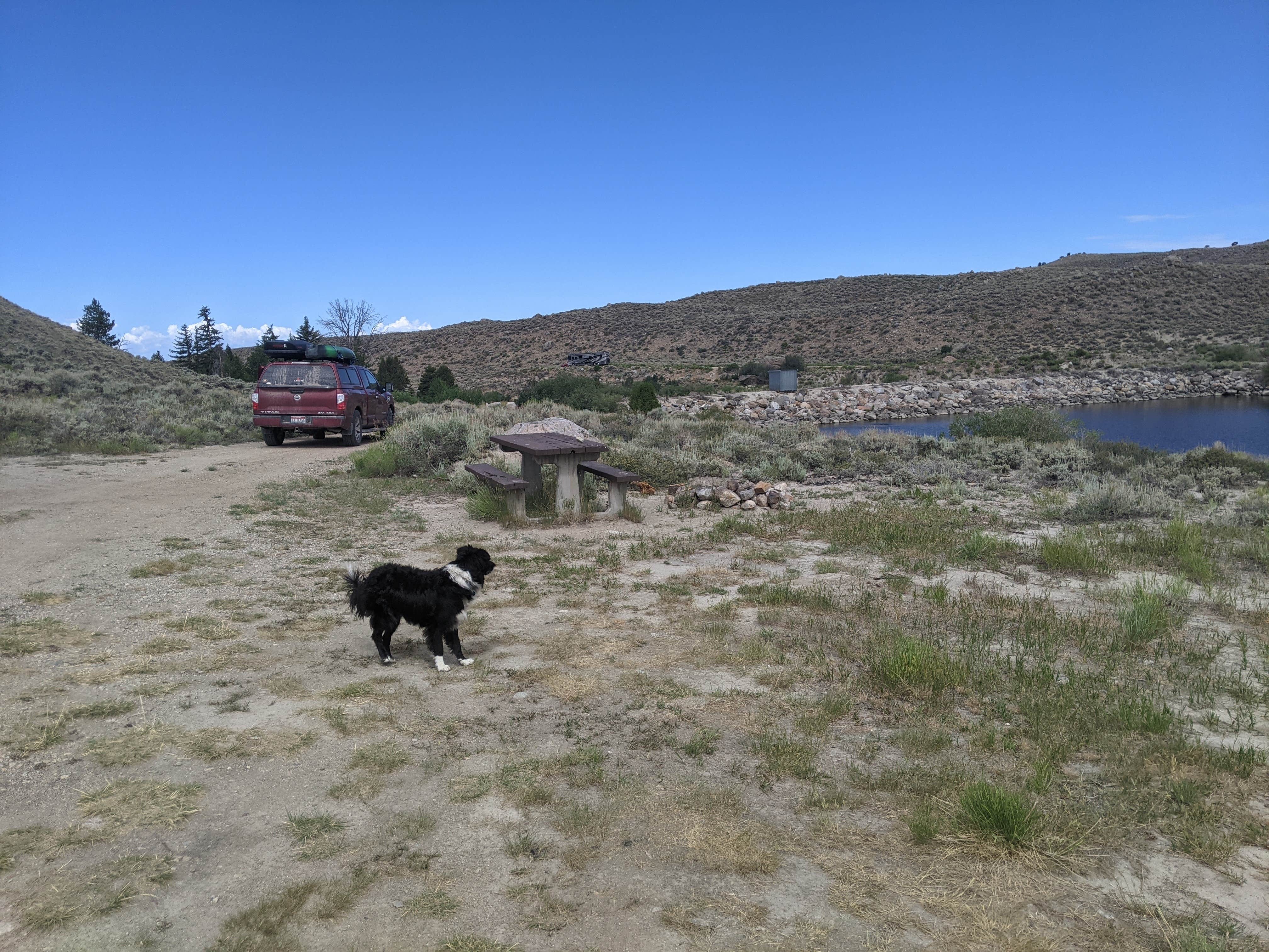 Greg L.'s photo of camping with pets at South Boulder Lake Camp Site near Cora, WY