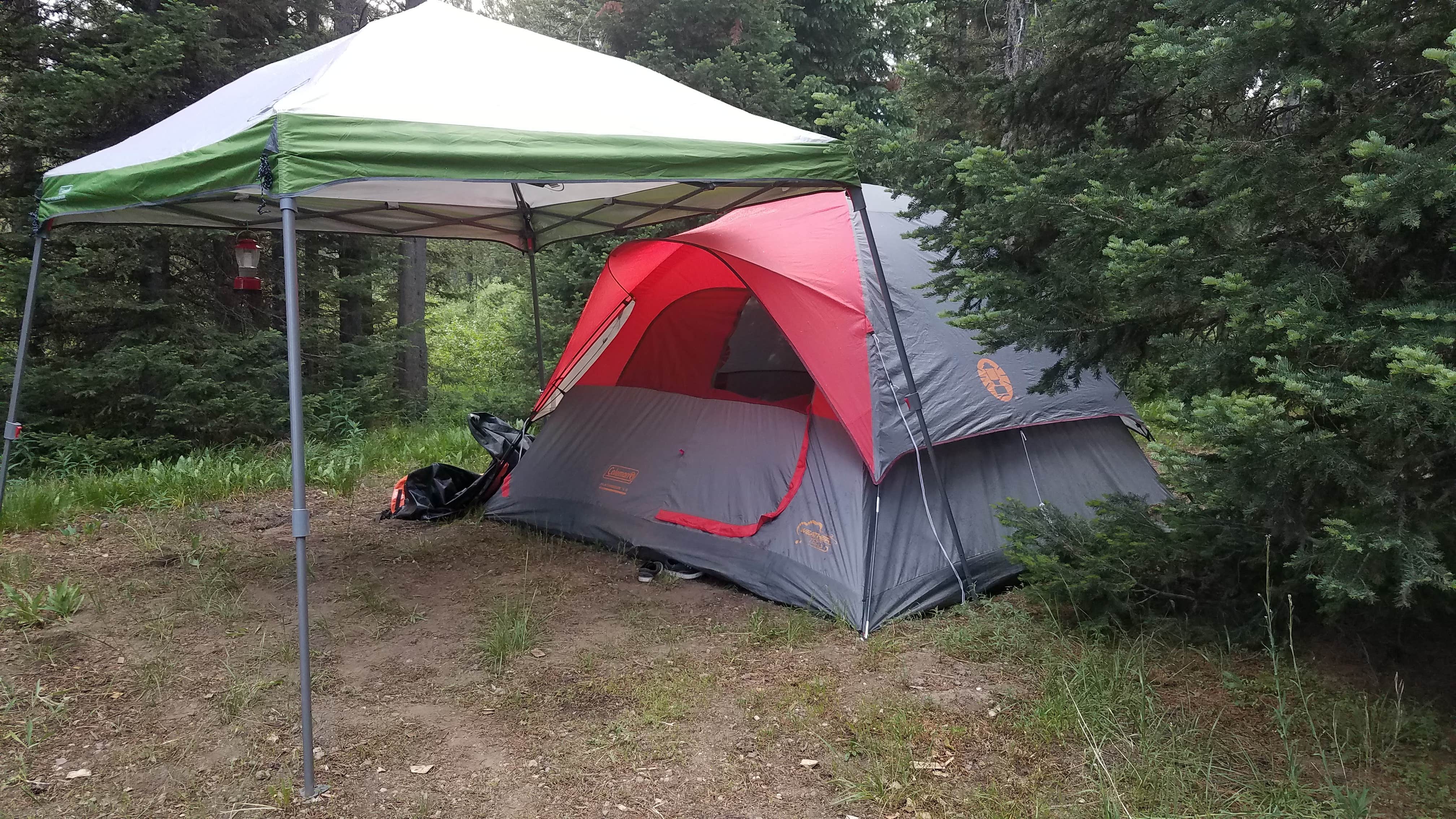 Kristen S.'s photo of a dispersed camping area at Ashton-Flagg Ranch Road near Grand Teton National Park