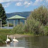 Review photo of Henrys Lake State Park Campground by Jessica M., July 6, 2021