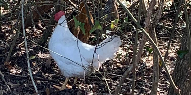 Camper submitted image from St Mary's Cove