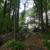 Review photo of Quartzite Campground — Devils Lake State Park by Debra M., July 6, 2021