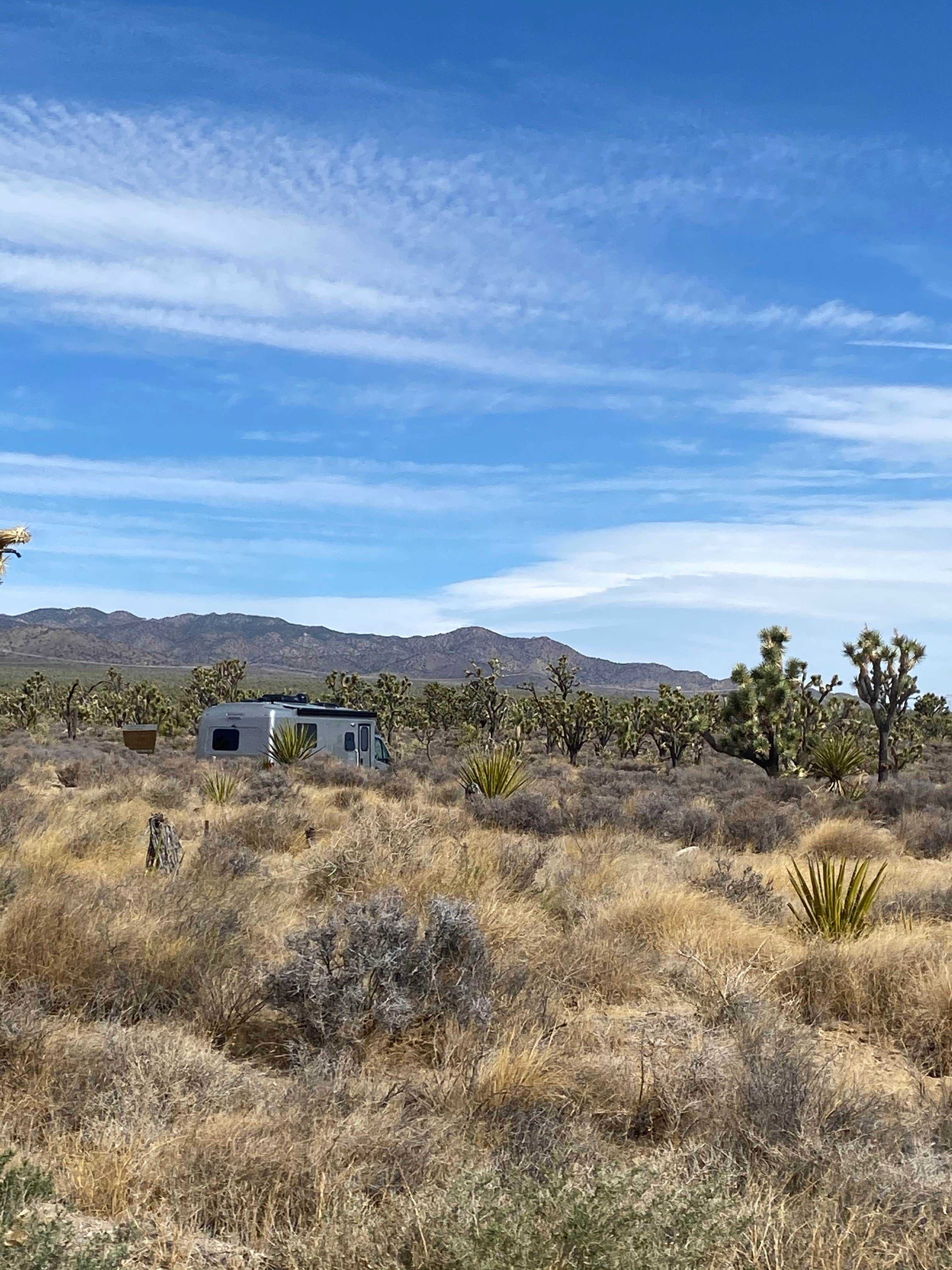 BLM Knob Hill Primitive Camping The Dyrt