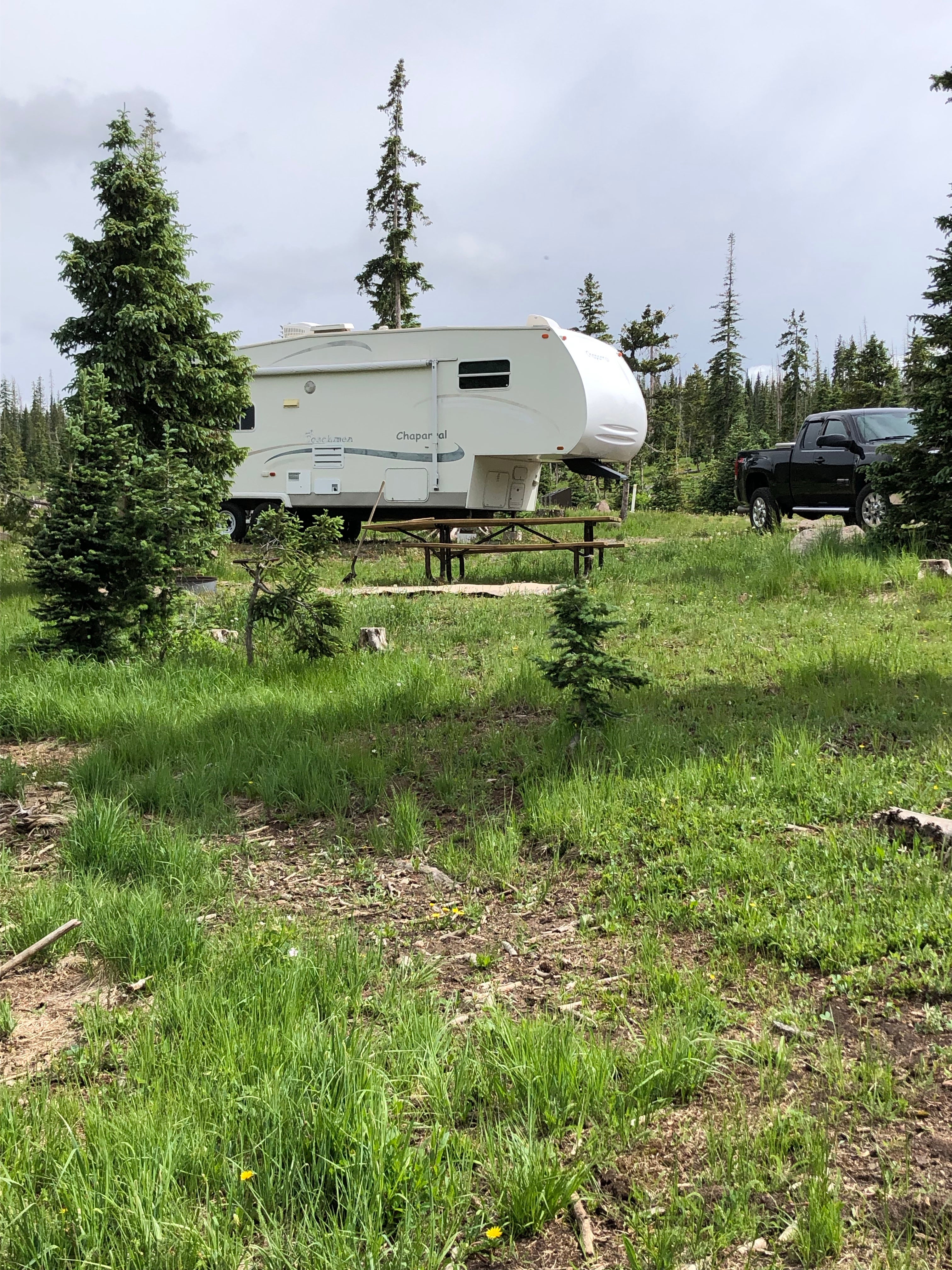 Camper submitted image from Trujillo Meadows - 1