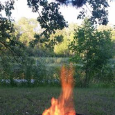 Review photo of Big Bog State Recreation Area by Montina S., July 17, 2016