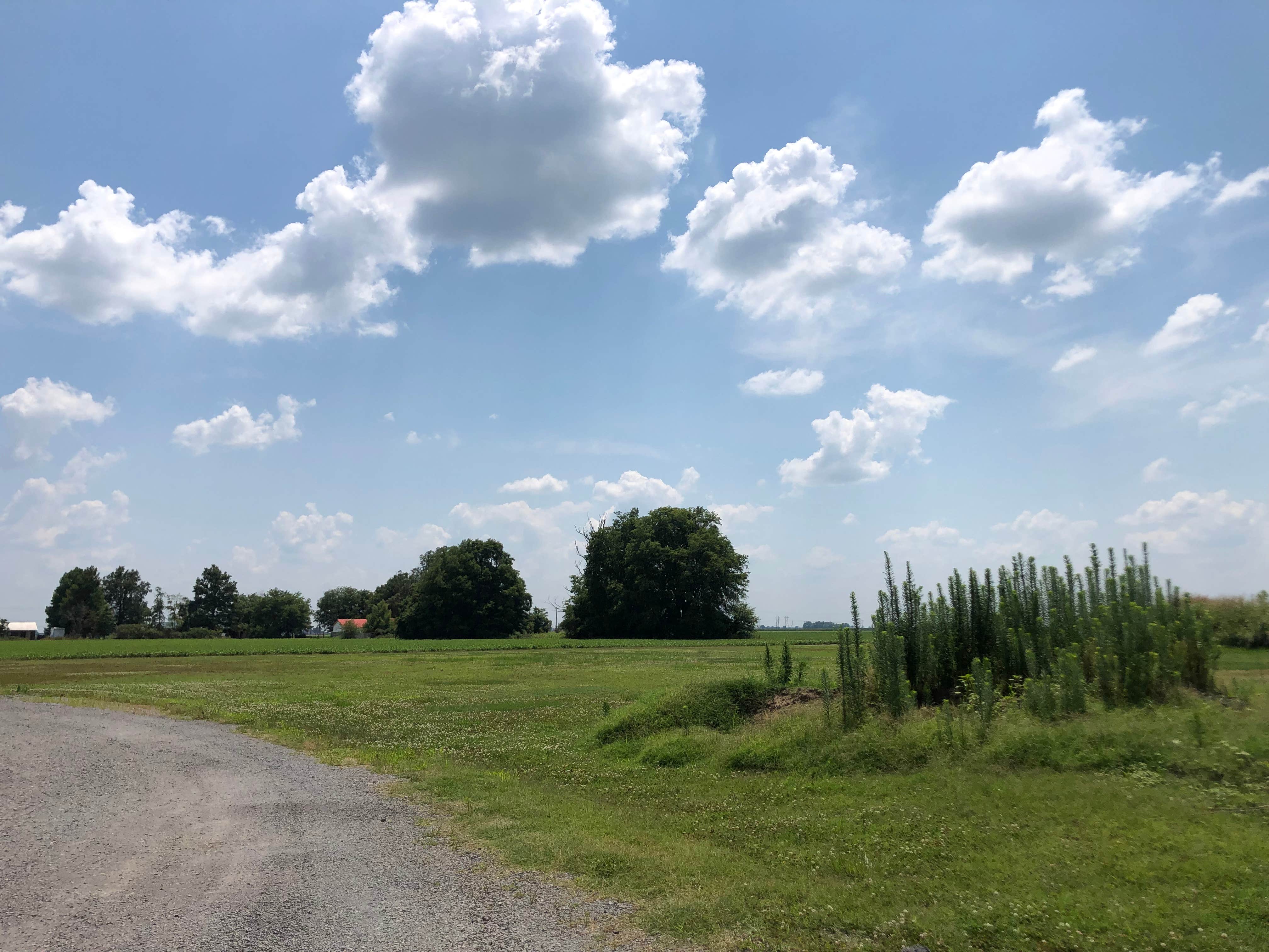 Camping near Willow's RV Park: Shearins RV Park, Gilbert, Arkansas