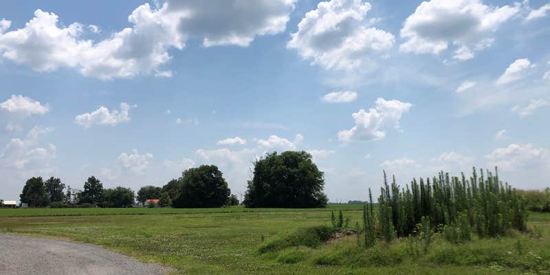 Camper submitted image from Shearins RV Park