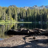 Review photo of Coldwater Campground - Inyo Nf (CA) by Chelsea B., July 7, 2021