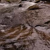 Review photo of Alsea Falls by Savannah R., June 13, 2018