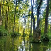 Review photo of Trap Pond State Park Campground by Brian C., July 7, 2021