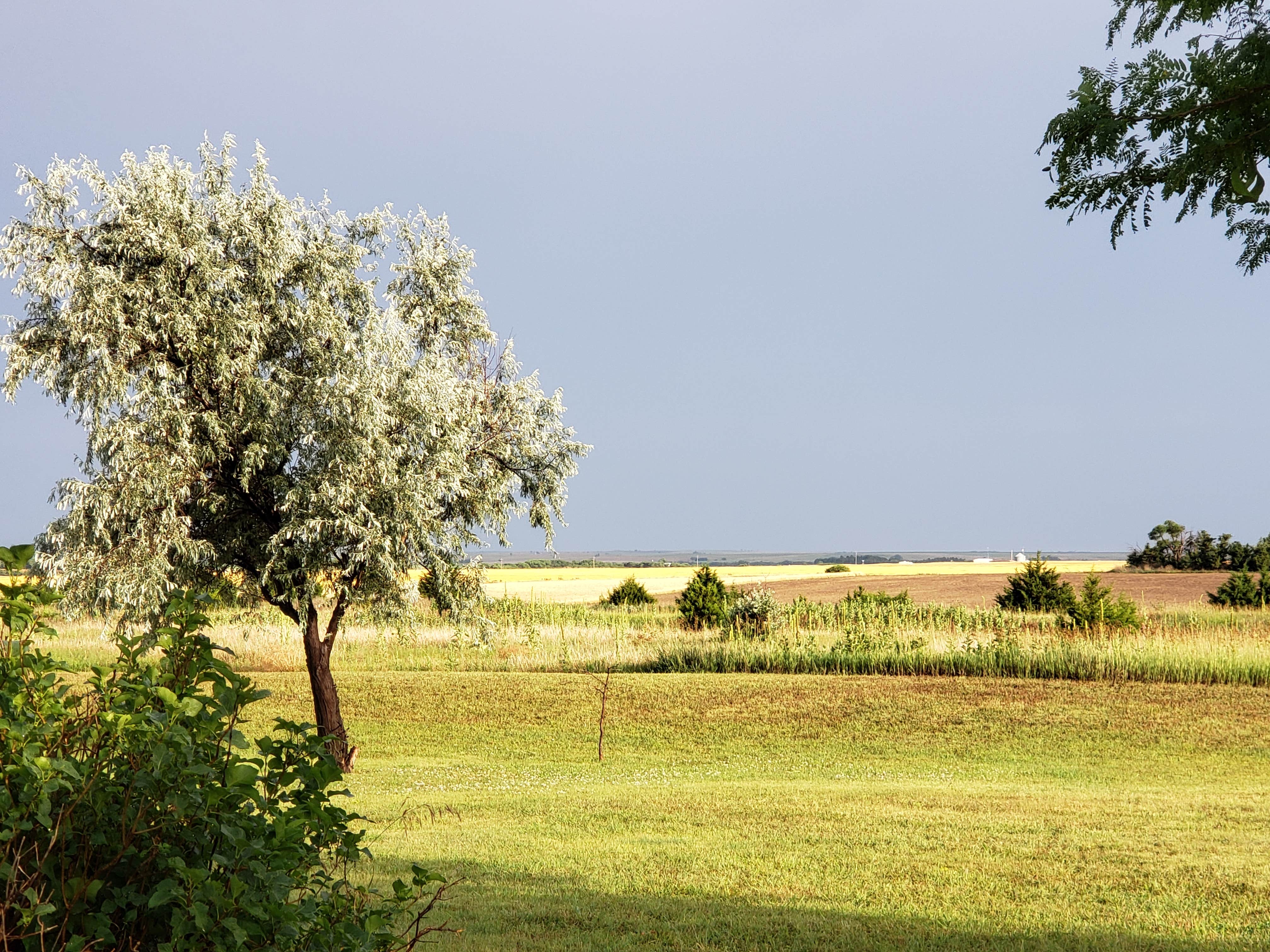 Camper-submitted photo at Wakeeney KOA near Bogue, KS