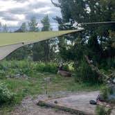 Review photo of Jenny Lake Campground — Grand Teton National Park by Vanessa H., July 7, 2021