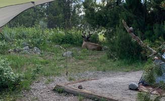 Vanessa H.'s photo at Jenny Lake Campground — Grand Teton National Park near Grand Teton National Park