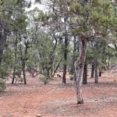 Review photo of Mather Campground — Grand Canyon National Park by Thomas W., July 5, 2021