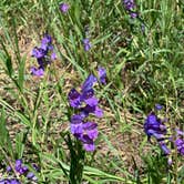 Review photo of Redstone White River National Forest by laura S., July 7, 2021