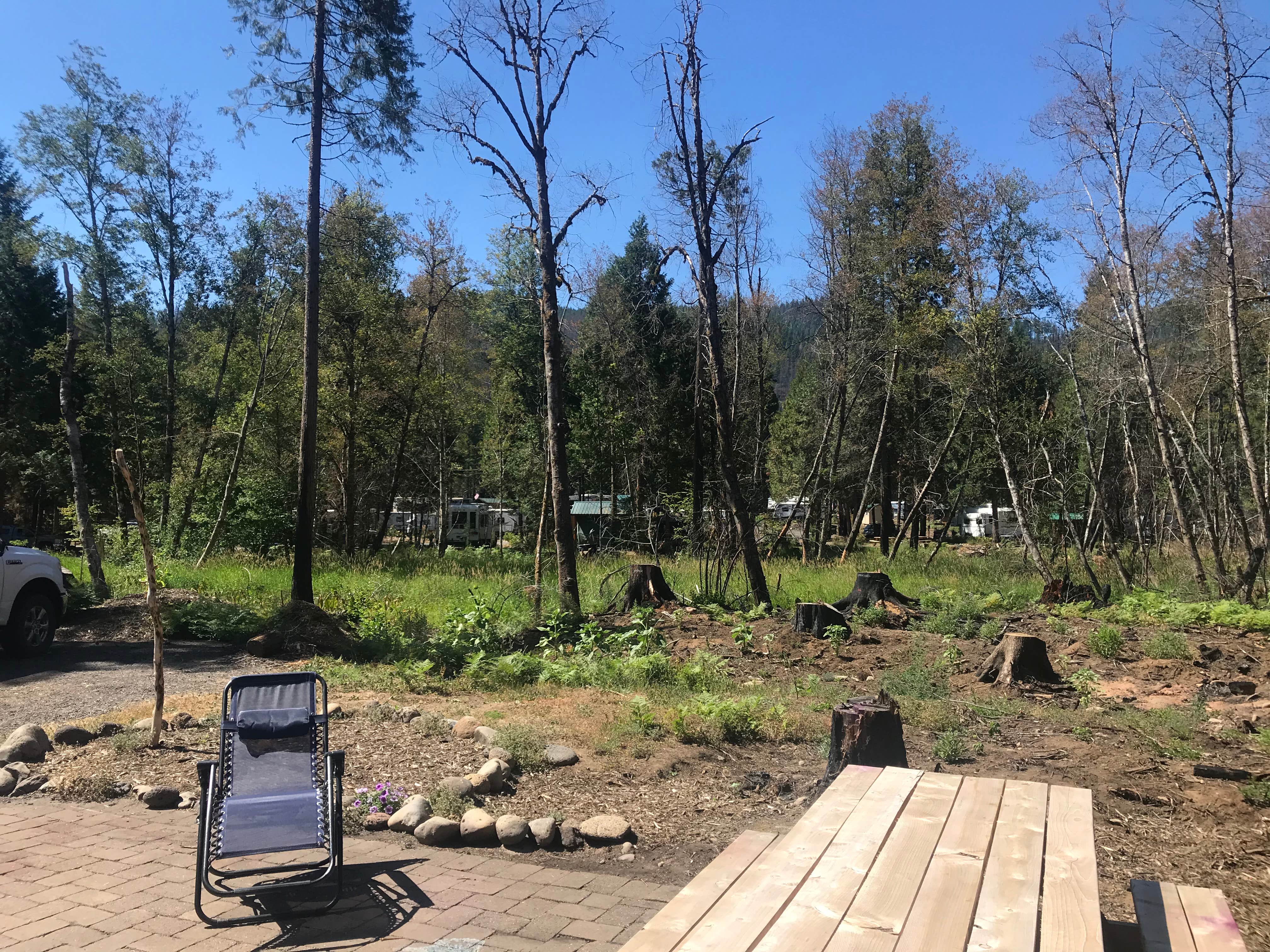 Camper-submitted photo at Holiday Farm RV Park near Oakridge, OR