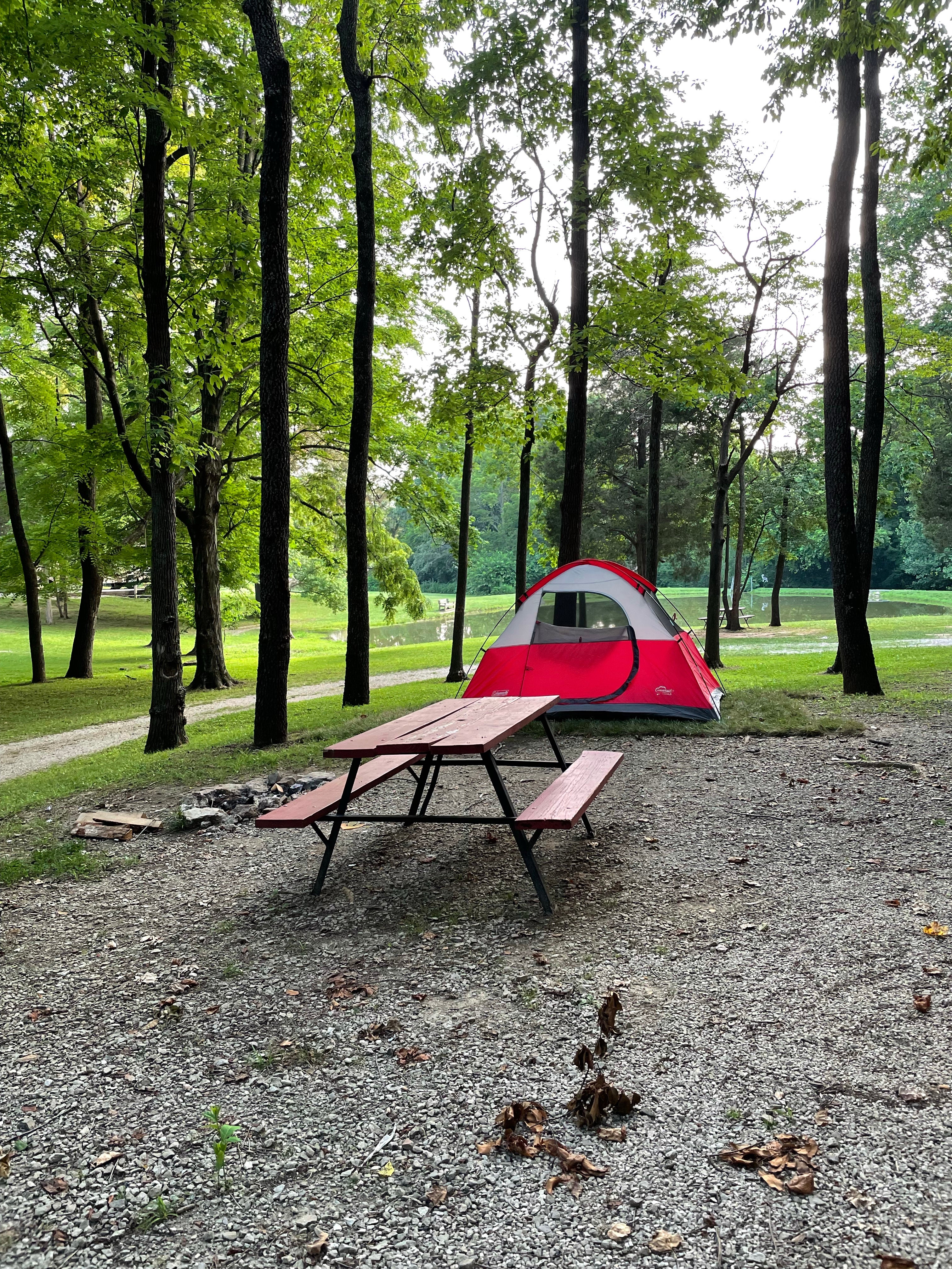 Camper submitted image from Elizabethtown Crossroads Campground  - 4