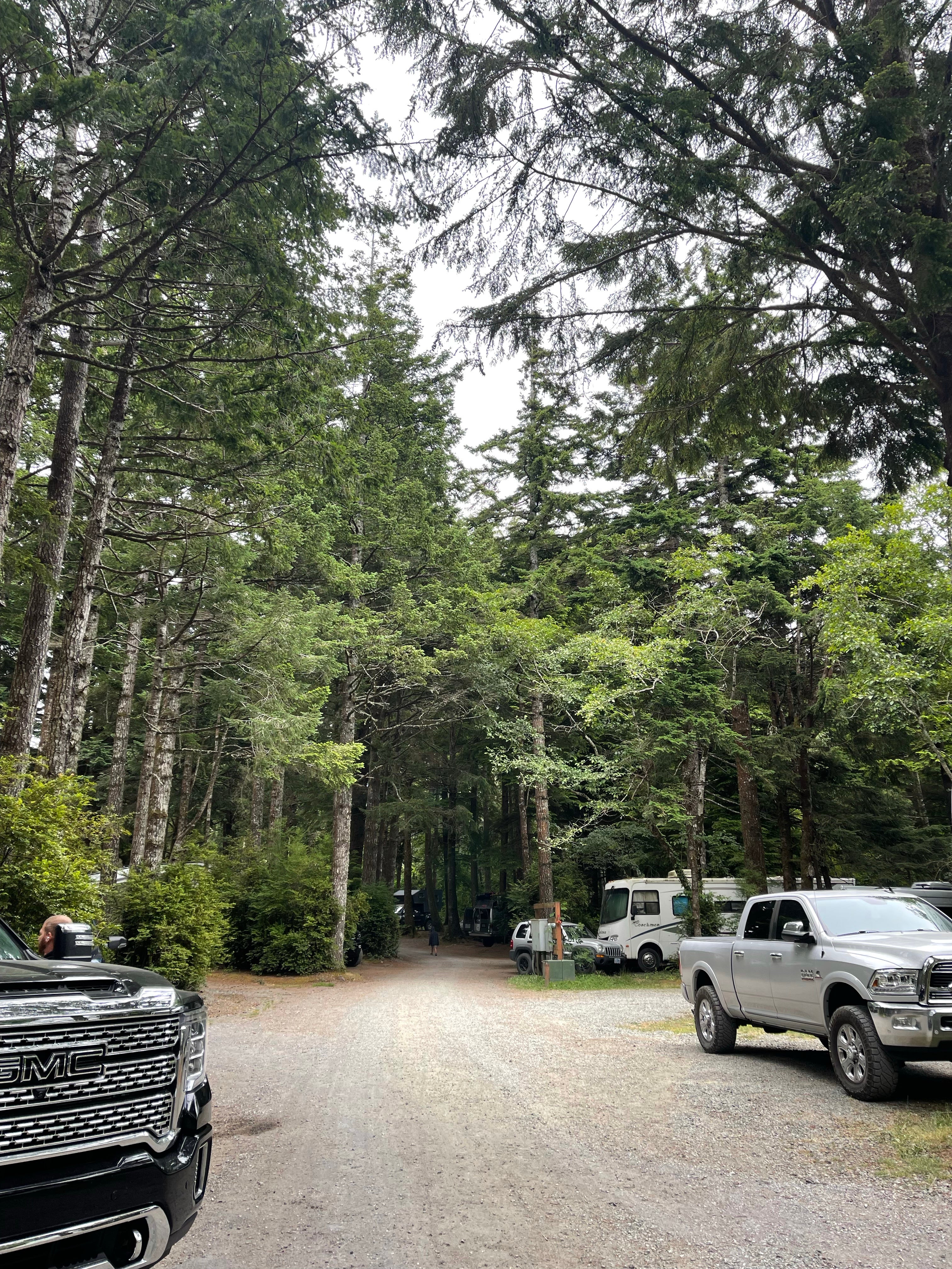 Camper submitted image from Bandon-Port Orford KOA - 3